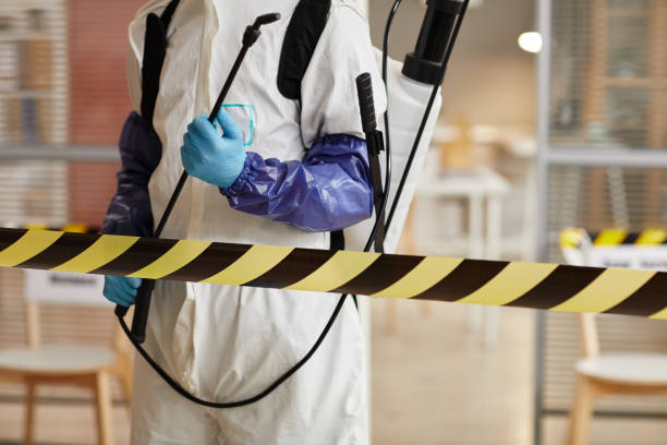 Professional Odor Removal technician working in North Bend, OH