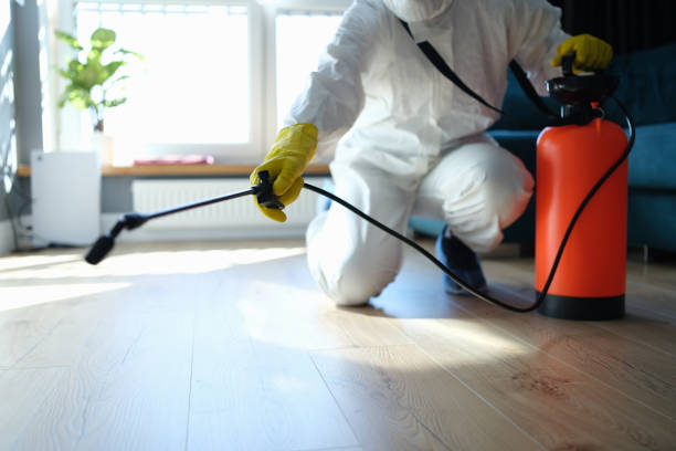 Reliable Odor Removal contractor in North Bend, OH by Trauma Clean Pros